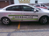 Adesivo Herbalife